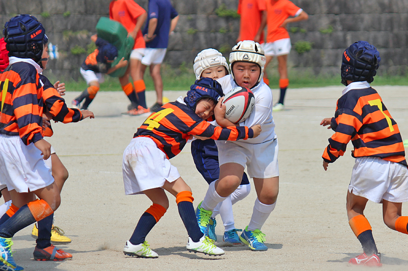 20160911-sayagatani2