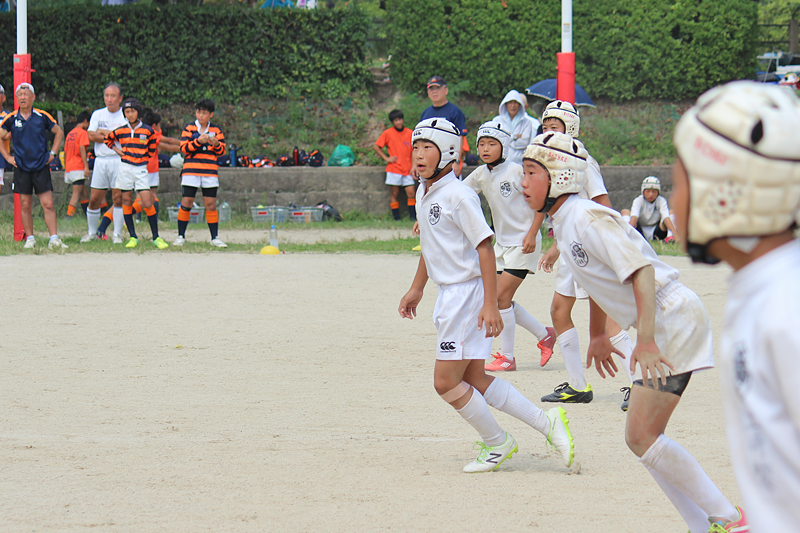 20160911-sayagatani7